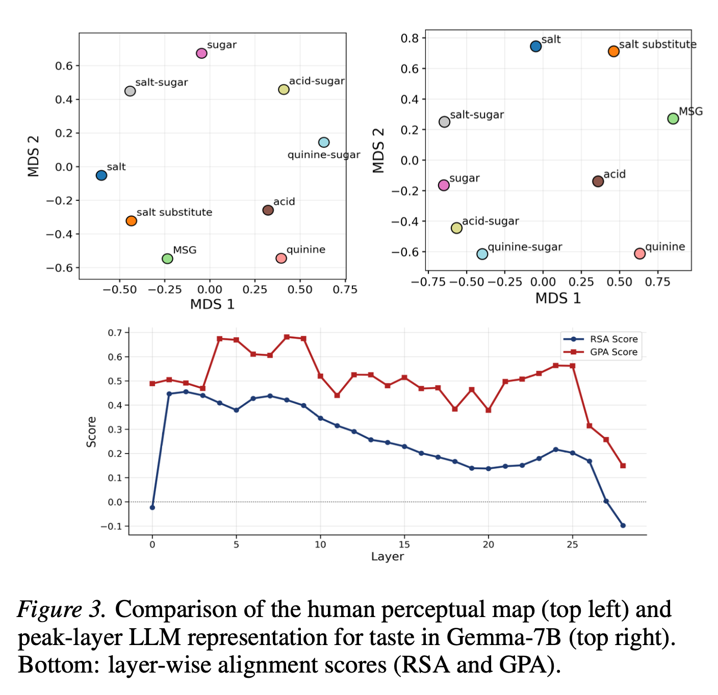 Comparison of human taste perception map and Gemma-7B peak-layer representation
